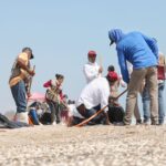 Suma Tamaulipas esfuerzos con Federación y municipios para sanear litoral